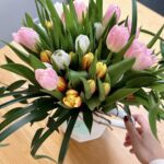 Marina Bastarache Instagram – Life lately

1-2 white aesthetic on my mind 🤍 @nana.the.brand
3 être solidement malade pendant 2 semaines à en perdre la voix…
4 animer @competitionbravissimo avec « tout juste » un peu de voix, grâce à des pilules qu’on ne prend pas par la bouche 🥲💊
5-6 lancer ma première collection de chaussure avec @chaussuresyellow et voir ma grosse face dans tous leurs magasins 🥺 *pinch me moment*
7 recevoir mes premières tulipes du printemps thanks to my piccioncino @com_lou 
8 faire un turoriel make-up avec la best @misslala_makeup et flauber ma retraite chez @sephoracanada 💄
9 voir @nana.the.brand dans les magazines et trouver ça doux que des magazines d’ici fassent de la place pour une compagnie d’ici 🤜🏻🤛🏻
10 trouver qu’un café starbucks c’est parfois « trop cher » mais me payer un first class dernière minute parce que « le prix était bon » . Jamais vu une fille aussi pleine de contradictions 😂