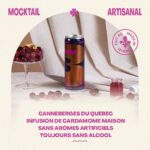 Maripier Morin Instagram – Consommer sans moderation n’aura jamais gouté si bon, et c’est promis, tu ne seras jamais lendemain de veille 🤪 @moxmocktail 
Image @nicolasblanchett 
Glam @michaelgoyette