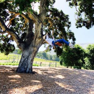 Marisa Miller Instagram - ❤️ @carmelvranch