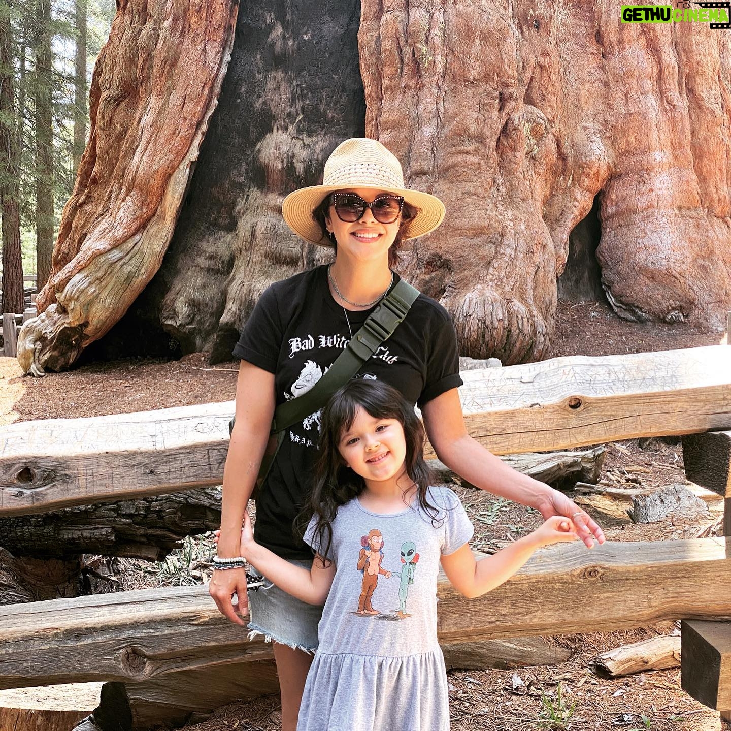 Marisa Ramirez - 5.9K Likes - Happy heavenly Birthday Dad! Miss you so much. Seven months gone. My heart still aches. We wanted to be in nature to honor you for your birthday so we hugged some trees for you at @sequoiakingsnps #generalshermantree Wish we were all camping together. You would have been proud of your grandbaby. Not afraid to get dirty. #creatingtraditions