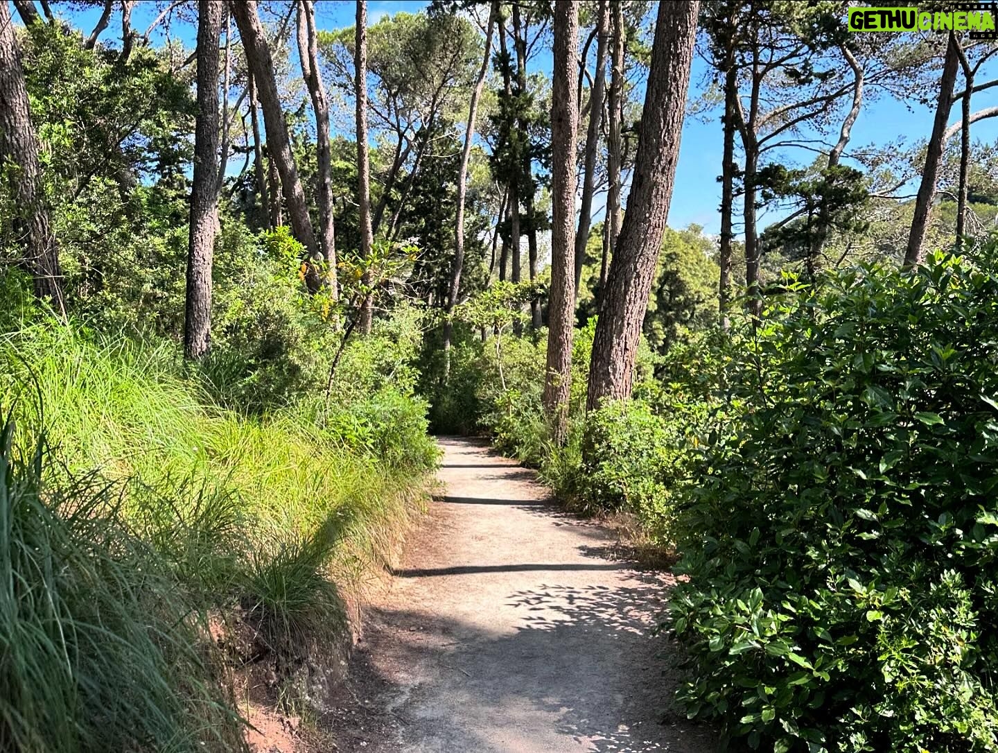 Marisa Cruz Instagram - “Hoje de manhã, atravessando o mar Vou me perder, vou me encontrar, a cada vento que soprar Cada dia é uma oportunidade pra ser melhor que ontem O Sol prova isso quando cruza o horizonte Vira fonte que aquece, ilumina Faz igualzinho o olhar da minha menina Outra vez, a esperança na mochila eu ponho Quanto tempo a gente ainda tem pra realizar o nosso sonho? Não posso me perder não Vários trocam sorriso por dim, hoje tão vagando na multidão Sem rosto, na boca o gosto da frustração Tô disposto a trazer a cor dessa ilustração No meu posto, dedico o tempo por fração Pra no fim não levar comigo interrogação Ação sem câmera, só luz pra conduzir Sinceridade pra sentir a alma reluzir Os inimigos não me vão alcançar, não me vão pegar, não me vão tocar Nem me ofender, eles não podem me ver , quem dirá me entender Eu sei que cada orixá vai me proteger Porque minhas rimas são, oração de coração Homenagem a quem volta cansado dentro dos busão Então, sucesso na missão parceiro É ter paz quando pôr a cabeça no travesseiro Conseguir manter quem te faz bem, perto Parabéns mãe , seu projeto de homem feliz deu certo!” (A Cada Vento)🎼 @emicida