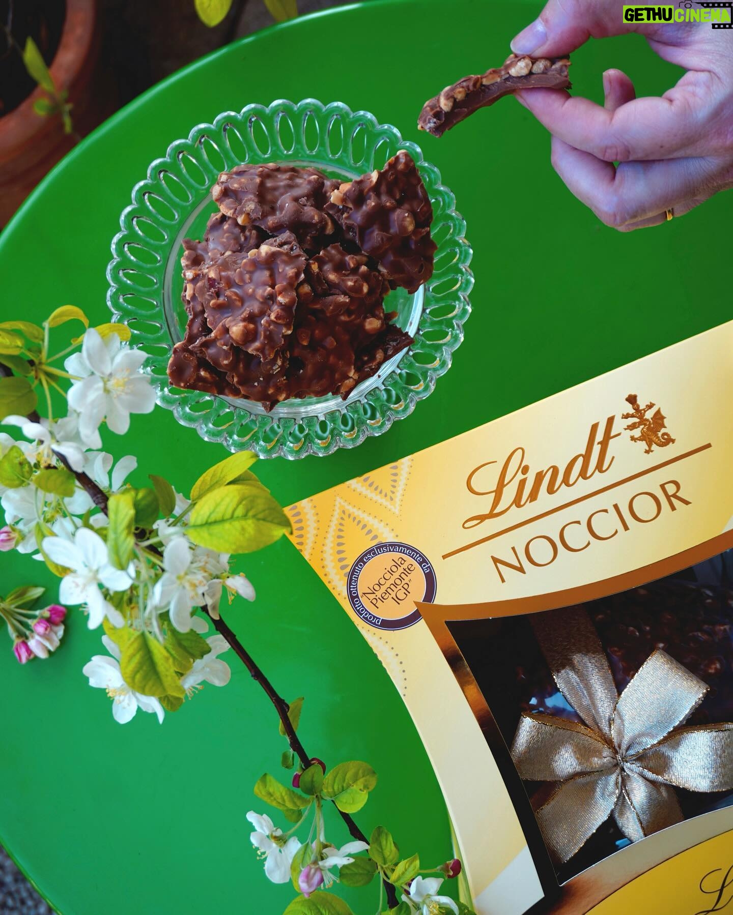 Marisa Passera Instagram - Indovinate cosa ho appena assaggiato per avere una faccia così felice? Un uovo di finissimo cioccolato Lindt, il cui guscio viene poi avvolto da quarti di Nocciole Piemonte IGP accuratamente tostate e poi ancora ricoperto da una colata di cioccolato: l’uovo Noccior Lindt. Che golosità! Che croccantezza ! Che spessore ! Stratificati dolcemente come i miei ricordi, che vi racconto nelle storie. Mi basta un morso, o due, o tre, per tornare bambina 💝 @lindt_italia #Noccior #adv