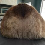 Marisha Ray Instagram – Apparently it’s National Corgi Day, so have some of this sweet loaf! 
There’s not a day that goes by that Matt and I don’t look at each other and say “We have a corgi!” Love you so much, Omar! 😭