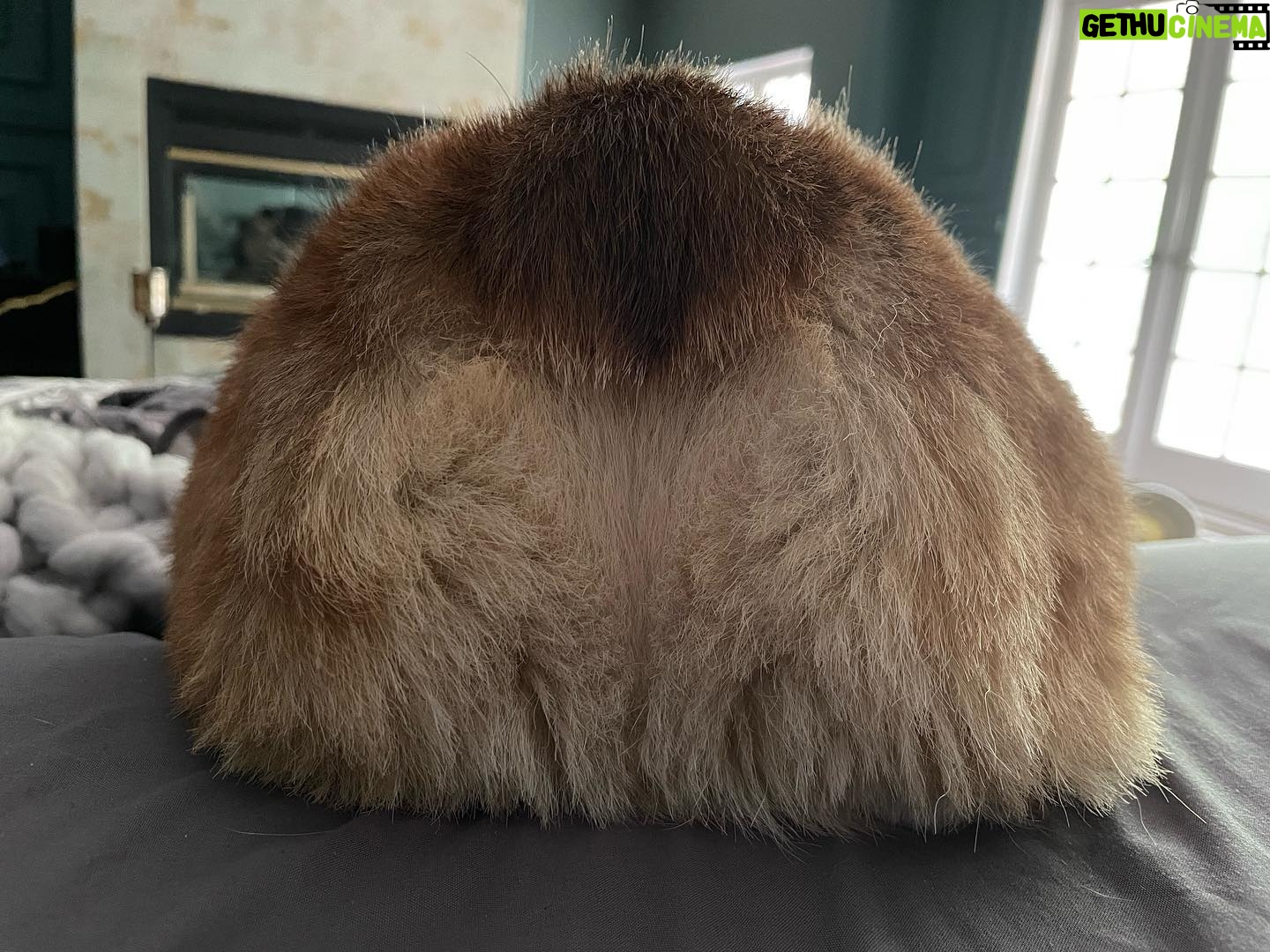 Marisha Ray Instagram - Apparently it’s National Corgi Day, so have some of this sweet loaf! There’s not a day that goes by that Matt and I don’t look at each other and say “We have a corgi!” Love you so much, Omar! 😭