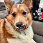 Marisha Ray Instagram – Happy last day of Pride! Let’s keep working on radical love and living your truth! We need it now just as much as we ever did. And we will never give up on the fight!
#loveislove🌈