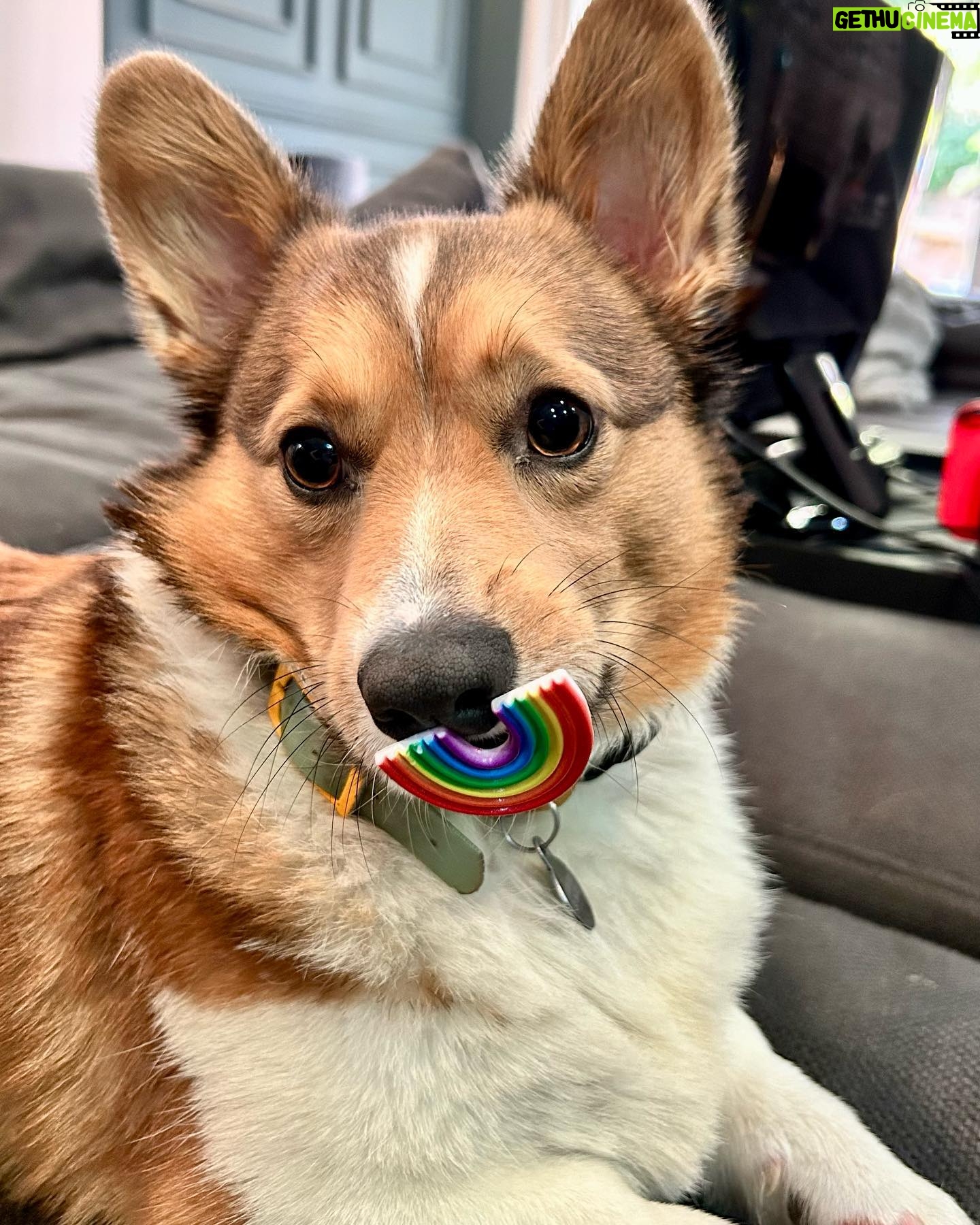 Marisha Ray Instagram - Happy last day of Pride! Letās keep working on radical love and living your truth! We need it now just as much as we ever did. And we will never give up on the fight! #loveisloveš