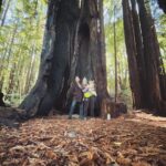 Marisha Ray Instagram - Happy Holidays to you, from me, and all these big ass trees!