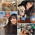 Marixa Balli Instagram - 29/4. Día del Animal. “Un país y una civilización se pueden juzgar por la forma en que trata a sus animales”. Mahatma Gandhi Gracias por cambiar mi vida❤️