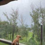 Marixa Balli Instagram - Ayer sábado estaba camino a Empedrado Corrientes ,recibí una llamada y regresé a Carlos Paz … Porqué regresé????
