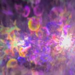 Mariya Nagao Instagram - @teamlab_borderless 💎✨💖 麻布台ヒルズにできたチームラボに行ってきましたっ 探検しながら発見するをテーマに本当に規模が大きくて色々な世界に彷徨って行ったり戻ったりしながら新しい発見をしたよ 歩くいたところに川が流れたり壁を触ると花が散ったり感動したぁ😌 #麻布台ヒルズ #teamlabborderless #tokyo #チームラボボーダレス
