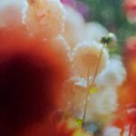 Mariya Nagao Instagram - 虎ノ門ヒルズステーションタワー 蜷川実花展へ🦋 #蜷川実花展eim #百万色の桃源郷へ #TOKYONODE