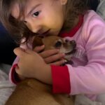 Marjorie Magri Instagram - El amor también viene en forma de pelitos y lamidos 🐶 Y si no le has hablado a tu mascota chiquitito como si fuera un bebé 😂 no tienes corazón 🤪😂🫠 @titosdoggrooming @thetitoluzardo Consintiendo a mis bebés y dejándolos regios❤️ Encontrar personas que amen a los perritos tanto como tú es una bendición 💪🏻