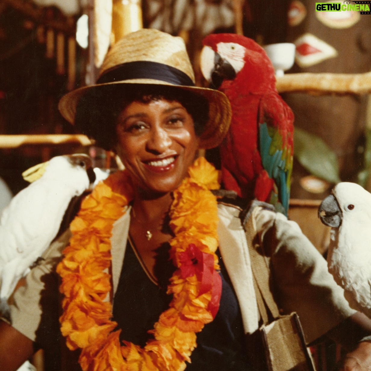 Marla Gibbs Instagram - Follow your hearts and spread love!! ❤️❤️❤️ #lovewins #befree #bekind #nevertoolate