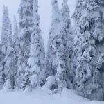 Marla Maples Instagram – Where the snow ghosts gather… 

The architects of snow ghosts are the winds, clouds, and fog …. 

And look what beauty is created from these…. 

Breathe Trust Believe 

Inspired 

#snowghosts #wilderness #skiing #naturephotography ….while skiing in Montana