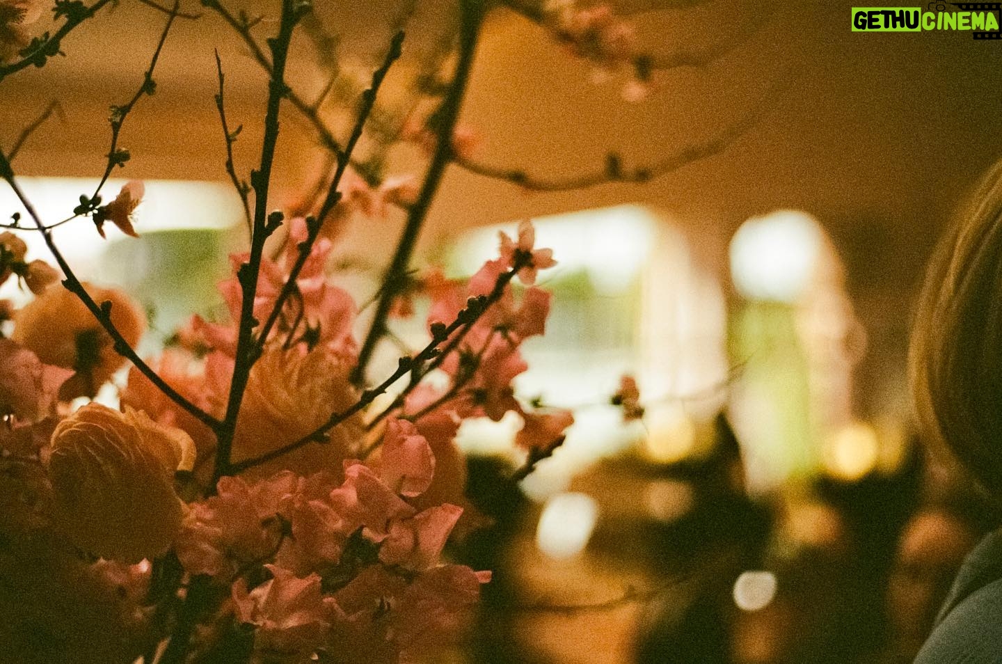 Marlo Kelly - 12.8K Likes - Pretty flowers at Glossier 🌸 #nikonfe #35mm #muse