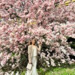 Marta Żmuda-Trzebiatowska Instagram - Życzę Wam spokoju, który przytuli wszelkie zmartwienia i troski; zaufania, które pokonuje lęk i miłości, która jest potęgą i potrafi przenosić góry 🌸🌸🌸 Zdrowych, pięknych Świąt 🌸