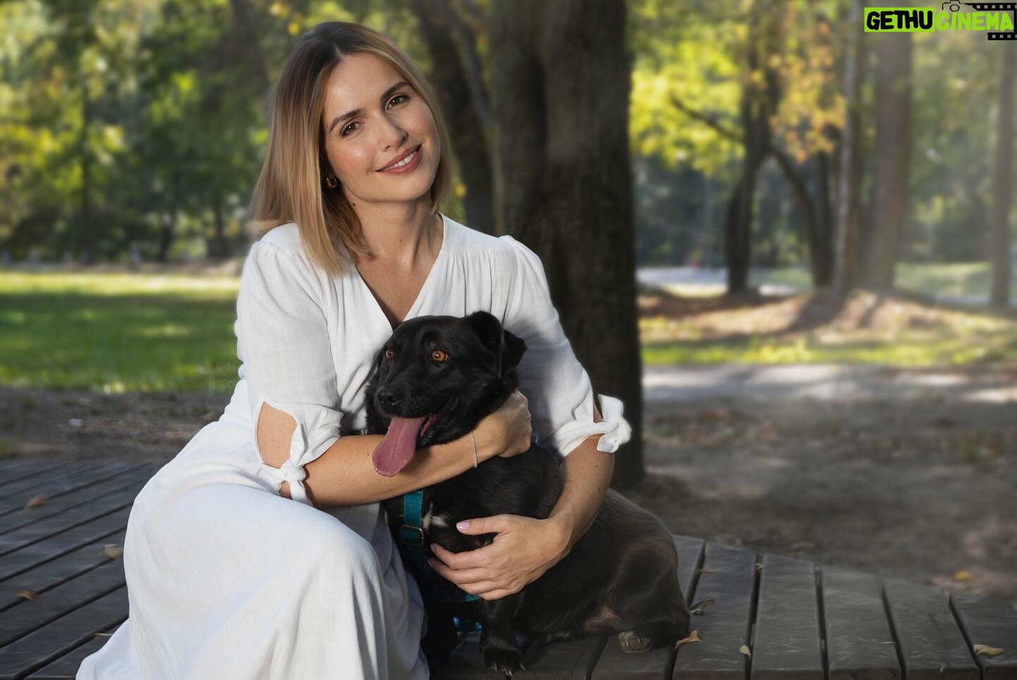 Marta Żmuda-Trzebiatowska Instagram - Drodzy, pozując do tegorocznej edycji kalendarza Wielcy Małym @wielcy.malym poznałam te dwie urocze mordki, które szukają ciepłego kąta, pełnej michy i miłości. 🐕🐕🦺 Beżowy piesek to MIKA, drobniutka, szczuplutka suczka, która przeżywa właśnie prawdziwy koszmar. Wróciła do schroniska po blisko dwóch latach u boku ludzkiego przyjaciela. 💔 Pies to żywa istota, która cierpi, płacze, przeżywa. Pamiętajcie o tym ‼️ Mika to stosunkowo spokojna, stateczna suczka. W stosunku do ludzi jest przyjazna, kontaktowa. Ładnie spaceruje na smyczy. Lubi ruch i bardzo ceni sobie uwagę, jest zaszczepiona, zaczipowana i wysterylizowana – gotowa do adopcji. 🦮 Drugi piesek, czarny gentleman z kolejnej fotografii, to AMADEUSZ. To niewielki, krótkowłosy, a przy tym delikatny i niezwykle urodziwy psiak. Jest bardzo przyjazny i proludzki. Człowieka kocha całym sercem, jest w niego wpatrzony, ogromnie pragnie uwagi i zainteresowania. Świetnie radzi sobie na smyczy, jest energiczny, chętny do wspólnych zabaw i spacerów. Samotny, w betonowym boksie, bardzo cierpi, błaga o choć chwilę uwagi i zainteresowania... To psiak, który ma jeszcze szansę na lepsze życie, a może nawet na wymazanie wszystkich złych wspomnień. Potrzebni są tylko ludzie gotowi otworzyć swoje serca i podarować Amadeuszowi prawdziwy, kochający, odpowiedzialny dom do końca jego dni! 🐕🦺 Gdyby ktoś z was czuł, że ma przestrzeń na to, aby zaopiekować się, którymś z tych piesków , żeby ofiarować mu miłość i zapewnić spokojne, bezpieczne życie - zostawiam kontakt: Dagmara 600-344-365 Klaudia 793-990-900 Schronisko w Tomaszowie Mazowieckim Adoptuj zwierzęta odpowiedzialnie. Dziękuję ❤️ #mniejsibracia #adoptujodpowiedzialnie @wielcymalym @schronisko_tomaszow