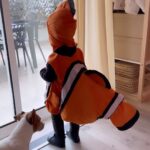 Marta Melro Instagram - Só o Nemo e a sua Dory a apreciar a chuva 🌧️ 🐠🐟🧡🥹