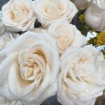 Marta Torné Instagram - Fotos de mi semana: 1- Rosas blancas. Mis favoritas 🫶🏼 2- Selfie recién maquillada por @assumptasolemakeupartist 3- Home 4- Two for the Road 5- Los atardeceres de Madrid….🥺 6- Rufus durmiendo en el Ave (le encanta viajar en tren) 7- 🍾 8- Una Coliflor espectacular de @aarderestaurante 9- Work 10- Pon un contouring en tu vida