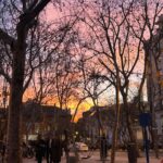 Marta Torné Instagram - Fotos de mi semana: 1- Rosas blancas. Mis favoritas 🫶🏼 2- Selfie recién maquillada por @assumptasolemakeupartist 3- Home 4- Two for the Road 5- Los atardeceres de Madrid….🥺 6- Rufus durmiendo en el Ave (le encanta viajar en tren) 7- 🍾 8- Una Coliflor espectacular de @aarderestaurante 9- Work 10- Pon un contouring en tu vida