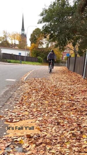 Martin Söderström Instagram - It’s Fall Y’all 🍂