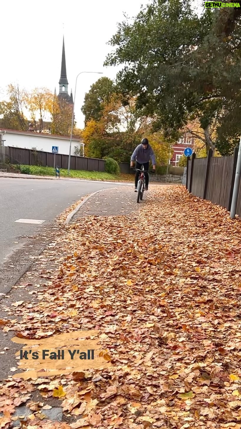 Martin Söderström - 8.2K Likes - It’s Fall Y’all 🍂