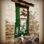 Martina Gusmán Instagram – ✨

Shanti conociendo a Dalí 🐾

✨