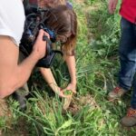 Martina Klein Instagram – I 🧡 Calçots! Junto con las alcachofas son mis verduras favoritas de la temporada 
Y gracias a @aquilatierra he podido también recogerlos!
🙏🏼 @coopagricoladelprat 🥬

¿Os gustan los calçots?🧅