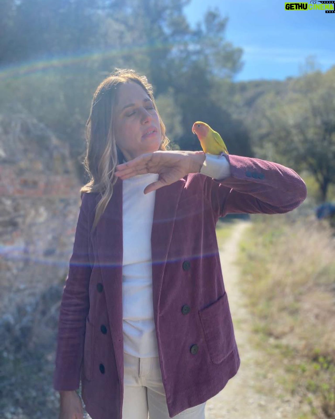 Martina Klein Instagram - Aquí un albumcete de algunos de mis momentos de #PlanetaR , este regalazo que me ha tocado y que tanto me está enseñando de la sostenibilidad y la crisis climática. . . Se emite todos los domingos al mediodía en La 2 de @rtvecatalunya , pero también se puede encontrar en A la carta de rtve.