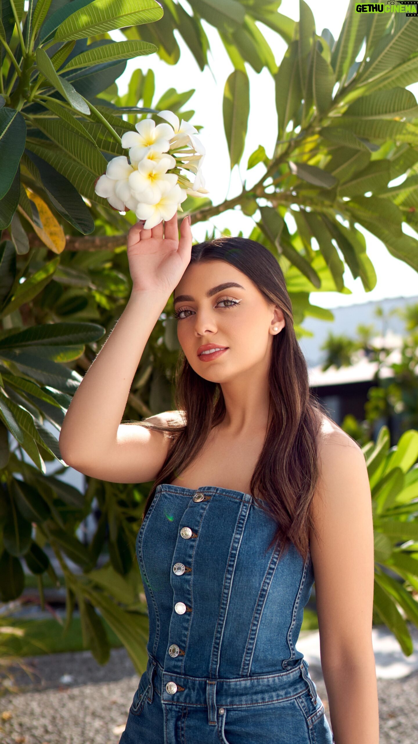Marwa Karam Instagram - 👗 @revolvemena 🎥 @nasjxx 👛 @cultgaia