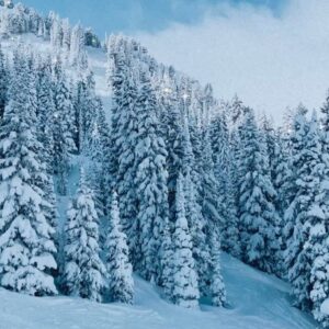 Mary-Margaret Humes Instagram - Life with these two is always an adventure … however, this years ski trip took on a whole new meaning … respecting the beauty of these majestic mountains and appreciating “breathing fresh air”  like never before … thankful for the day with besties @louisvanamstel @itsme_joshv ⛷⛷⛷❤️❤️❤️🙏🙏🙏