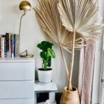Mary Padian Instagram - Found these great dried palm leaves today on the side of the street! Goes perfect in my living room corner. Trash was a treasure today! And even better - it rained today in Dallas so didn’t have to wash them just dried the leaves with a blow dryer! #trashtotreasure #keuhl #palmleaves #homedecor #marysfinds #treasures