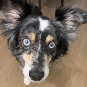 Mary Steenburgen Instagram - Happy 15th birthday, sweet Arthur. 🎂🎂🎂You have my heart, old boy!
