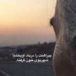 Maryam Boubani Instagram -