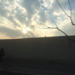 Maryam Boubani Instagram - #بی آرزو چه میکنی ای دوست؟ به ملال؟ درخود به ملال بایکی مرده سخن می گویم. شب،خامُش ایستاده هوا وزآخرین هیاهوی پرندگانِ کوچ دیرگاه ها میگذرد. اشکِ بی بهانه ام آیا از اینگونه بی اشک به چه می گریی؟ مگر آن زمستانِ خاموش ِخشک درمن است. #شاملوی بزرگ