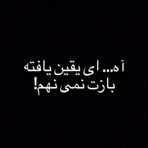 Maryam Boubani Instagram - #شاملوی بزرگ