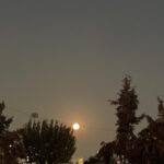 Maryam Boubani Instagram - #شب شولای سیاهش را برآشوب شهر می کشد، شمع خود را می افروزم ، به قدر وسعم، مثل ماه، وبه انتظار سپیده میمانم.