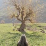 Maryam Boubani Instagram – #ما!
#من ودرخت
هردو خزان زده
#اما
باریشه وپادرجای!
در سرزمینی که تنها،
 اندوه درآن،
به عدالت تقسیم می شود. 
#ما!
من ودرخت 
دخترانِ دشت ،در روشنایِ آفتاب،
بهارراانتظارمیکشیم،

#زمزمه_باباد
#شهرام_علیدی
عکس:#جوادجلالی
