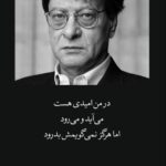 Maryam Boubani Instagram -