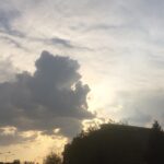 Maryam Boubani Instagram - #حمایت از حیوانات به روایتِ ابرهای آسمانِ اکباتان امروز آخرین روز فروردین