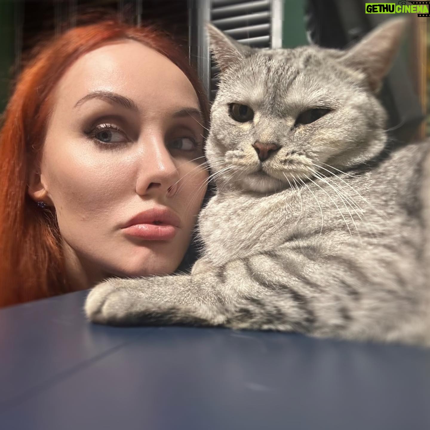 Maryana Romanova - 3.4K Likes - ŠŠ¾Ń Š¤ŠµŠ“ŠµŠ½ŃŠŗŠ° - ŃŠ½Š¾Š± Šø мизанŃŃŠ¾Šæ. ŠŠ¾ он ŃŠ°Šŗ Š·Š°Š¼Š°Š½ŃŠøŠ²Š¾ ŠøŠ·Š¾Š±ŠøŠ»ŃŠµŃ ŃŠµŠŗŠ°Š¼Šø, ŃŃŠ¾ Šŗ Š½ŠµŠ¼Ń Š²ŃŠµ ŃŠ°Š²Š½Š¾ ŃŃŠ½ŠµŃŃŃ ŠæŠ°ŃŃŠ²Š°. Š Ń Š½Šµ ŠøŃŠŗŠ»ŃŃŠµŠ½ŠøŠµ)