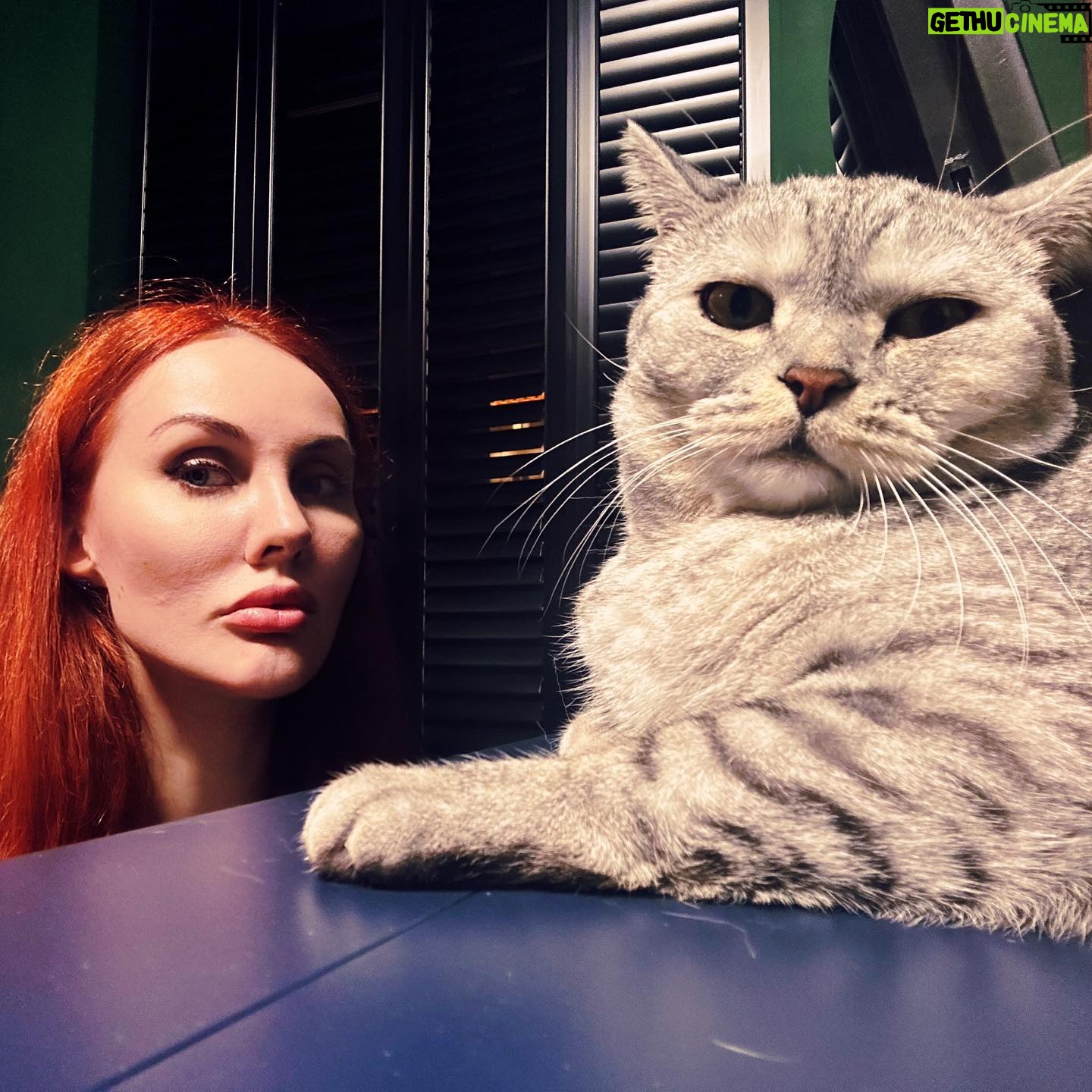 Maryana Romanova - 3.4K Likes - ŠŠ¾Ń Š¤ŠµŠ“ŠµŠ½ŃŠŗŠ° - ŃŠ½Š¾Š± Šø мизанŃŃŠ¾Šæ. ŠŠ¾ он ŃŠ°Šŗ Š·Š°Š¼Š°Š½ŃŠøŠ²Š¾ ŠøŠ·Š¾Š±ŠøŠ»ŃŠµŃ ŃŠµŠŗŠ°Š¼Šø, ŃŃŠ¾ Šŗ Š½ŠµŠ¼Ń Š²ŃŠµ ŃŠ°Š²Š½Š¾ ŃŃŠ½ŠµŃŃŃ ŠæŠ°ŃŃŠ²Š°. Š Ń Š½Šµ ŠøŃŠŗŠ»ŃŃŠµŠ½ŠøŠµ)