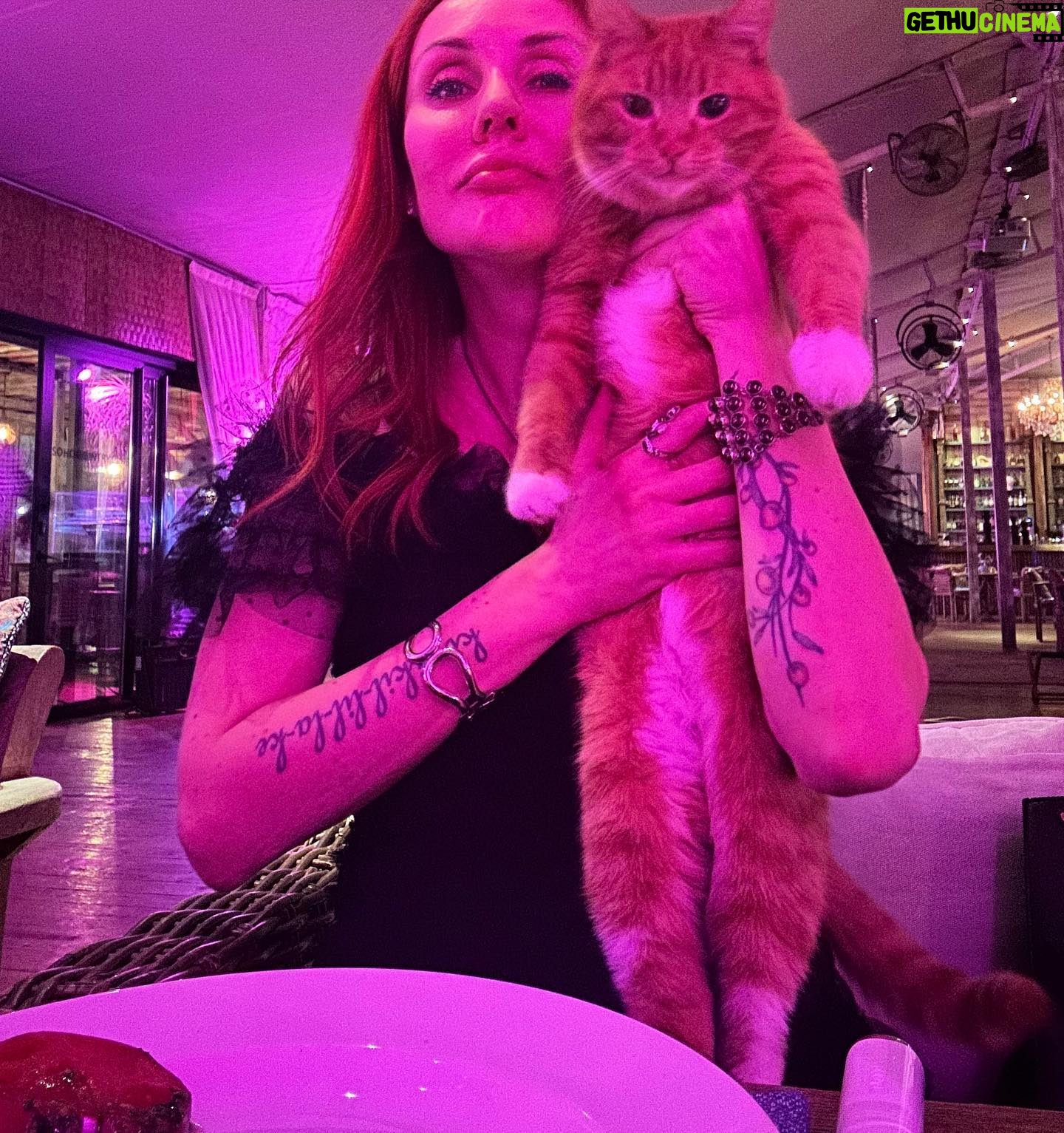 Maryana Romanova - 3.6K Likes - ŠŃгок Š±ŃŠ» ŠŗŠ¾Ń Šø ГобŃ, ŠæŠ¾Š“Š°ŃŠ»ŠøŠ², Š¼ŃŠ“Ń, ŠøŠ·Š²ŠµŃŠ³Š°Š» он Š“ŠµŠ»ŠøŠŗŠ°ŃŠ½Š¾Šµ мŃŃŃŠ°Š½ŠøŠµ, Š¾ŃŠ²ŃŃŠ°Ń ŠæŃŠ¾ŃŃŃŠ°Š½ŃŃŠ²Š¾. Š ŠæŠ»ŃŠ»Šø Š¼Ń Ń Š½ŠøŠ¼ ŃŠŗŠ²Š¾Š·Ń Š²ŃŠµŠ¼ŠµŠ½Š°, ŃŠµŠ»Ńй Š²ŠµŃеŃ, за ŠæŃоŃекко Šø ŃŠ»Š°Š“оŃŃŃŠ¼Šø.