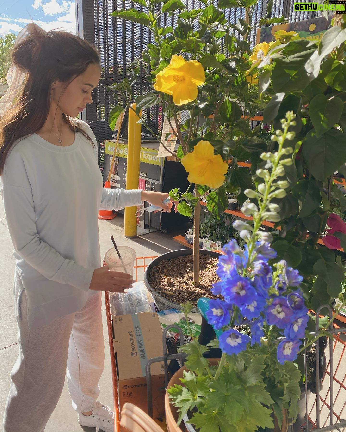Marybeth Havens - 2.5K Likes - Forever #plantaddict :) (I wasnāt allowed another plant) šæšøš„šŖ“šæ