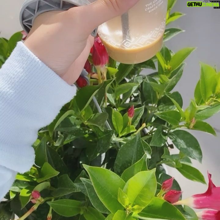 Marybeth Havens - 2.5K Likes - Forever #plantaddict :) (I wasnāt allowed another plant) šæšøš„šŖ“šæ
