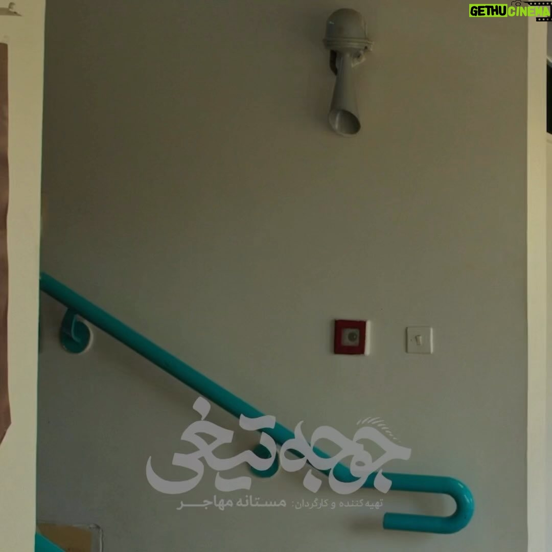Mastane Mohajer Instagram - 🎬 استقبال ۱۰۰هزار نفری از اولین رئیس جمهور زن ایران: فروش «جوجه تیغی» در آستانه ۵ میلیارد . با گذشت دو هفته از آغاز اکران فیلم سینمایی «جوجه تیغی» به کارگردانی مستانه مهاجر، تعداد مخاطبان این فیلم از صد هزار نفر گذشت. . همچنین با نزدیک شدن فروش فیلم «جوجه تیغی» به ۵ میلیارد تومان این فیلم در مسیر تبدیل شدن به یکی از پرفروش ترین فیلمهای کارگردانان زن سینمای ایران است. . «جوجه تیغی» داستان متفاوتی را در قالب طنز روایت میکند و در مدت زمان کوتاه توانسته فروش مناسبی در گیشه سینماهای ایران داشته باشد . تهیه بلیت از سامانه های سینماتیکت ، گیشه۷ و ایرانتیک . بازیگران : حامد کمیلی ، پانتهآ پناهیها ، هادی کاظمی ، آناهیـتا درگاهی با حضور : نازنیــن بیـاتی و پژمان بـازغی و با هنرمندی : هومن بــرقنورد ، مهتاب ثروتی ، نگار فروزنـده ، محراب قاسم خانی ، امید روحانی ، آرزو نبـوت ، نوشیـن تبریزی ، هادی عطایی ، سارا والیانی و آیدا ماهیانی ، صحرا اسدالهی . سرمایهگذار : مستانه مهاجر ، فرهاد فرهنگمهر پخش : فیلمیران . @mastanehmohajer @filmiran.co #جوجه_تیغی #مستانه_مهاجر #پانتهآ_پناهیها #فیلمیران