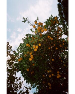 Mathilde Warnier Instagram - 🍊