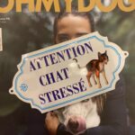 Matilda Blanco Instagram - Atencion amores! Mi gato JUNO se hizo famoso! 🤦🏻‍♀️ Ahora quien lo aguanta! El gordito salió en @ohmydogmag 🐈🐈‍⬛ 😻 Les comparto algunas fotos de el, su pandilla y yo! Cuenten que les pareció! Gracias @ohmydogmag ❤️ Mi look @allo_martinez Fotografía @adrimontaldovera 👏🏻👏🏻👏🏻