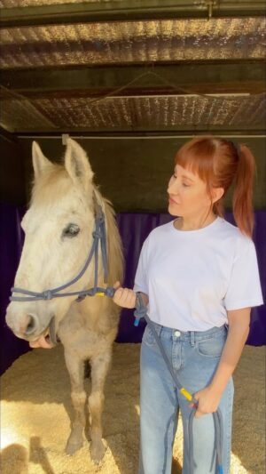 Matilda Blanco Instagram - Hice una visita especial 🐎🐎🫏🦮
Fui a @caballosquilmesoficial 
Quiero contarles a cerca del gran trabajo que hacen rescatando caballos esclavos por la Tracción a Sangre!
Sabias que cada Caballo esclavo que ves en un carro es robado! 
Basta de Tracción a sangre! 
Quiero pedirles a todos que visibilicen el maltrato animal 
en todas sus formas. 
Si ves maltrato animal Denuncia!!!
Apoyemos la Ley Sintientes

♥️ Quiero agradecer a Karina fundadora de Caballos de Quilmes y a todo su incansable equipo, que lo da todo por cada rescate! 🙏🏻 
www.caballos de quilmes.org 

📌Acércate a las organizaciones de rescate de nuestro pais! Súmate a la acción! 💪🏻💪🏻💪🏻

#nomastas #bastademaltratoanimal #leysintientes