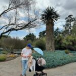 Matilde Breyner Instagram - Tantos anos a vir a LA e como é que ainda não tinha vindo aqui? O Huntington é um centro cultural e de pesquisa composto por jardins botânicos, uma biblioteca e um centro de arte. Os jardins estão divididos por temas, são km e km a perder de vista e uma tarde inteira não chega para ver tudo. Passeámos no Desert Garden, Japanese Garden e no Chinese Garden. E ainda passámos pelo Jungle Garden a vir embora. É tudo lindo e perfeito para adormecer bebés. Nada como um white noise ao vivo 🐝🦋🐿️🌵🌴🌿🍄